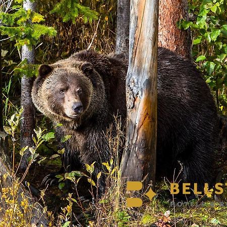 Palliser Lodge — Bellstar Hotels & Resorts Голден Экстерьер фото
